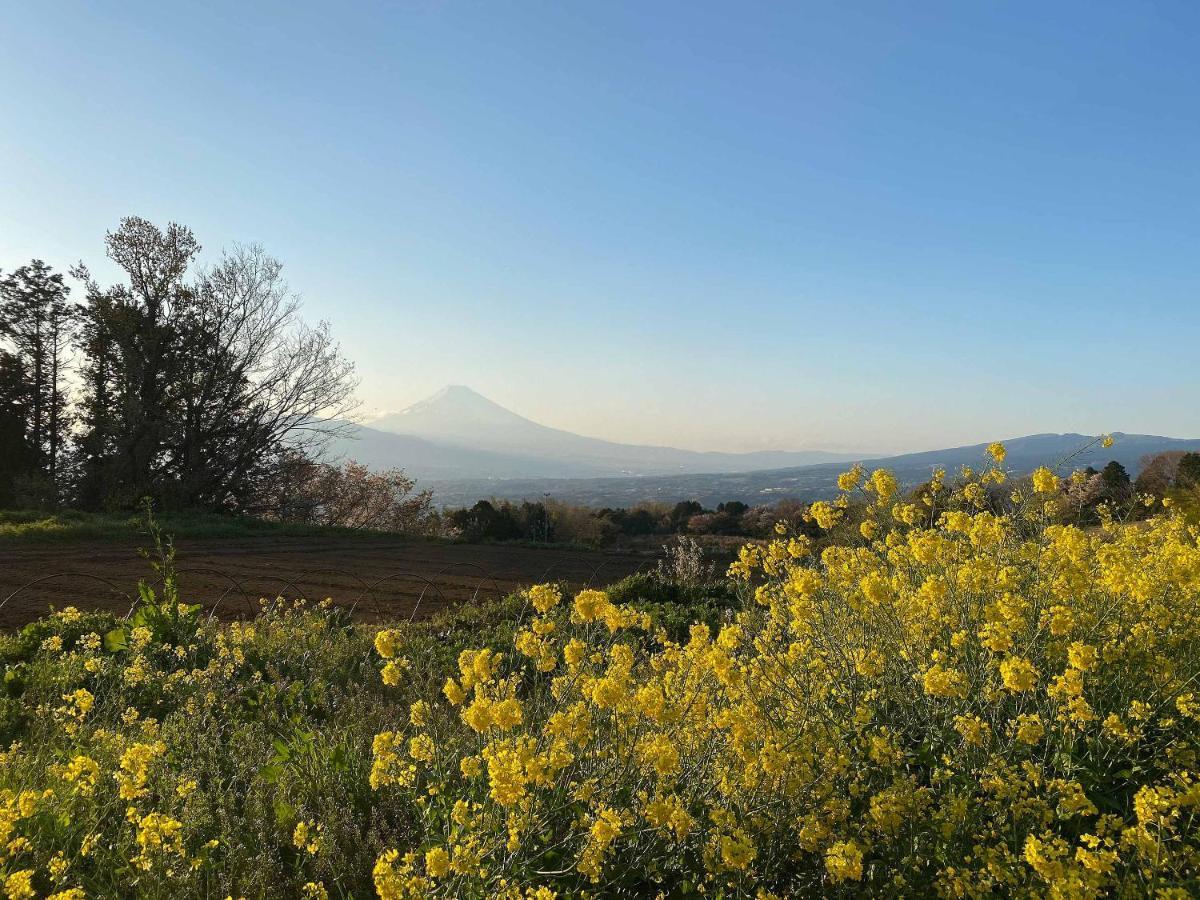 A Private Log House With Mt Fuji View & Piano - 
