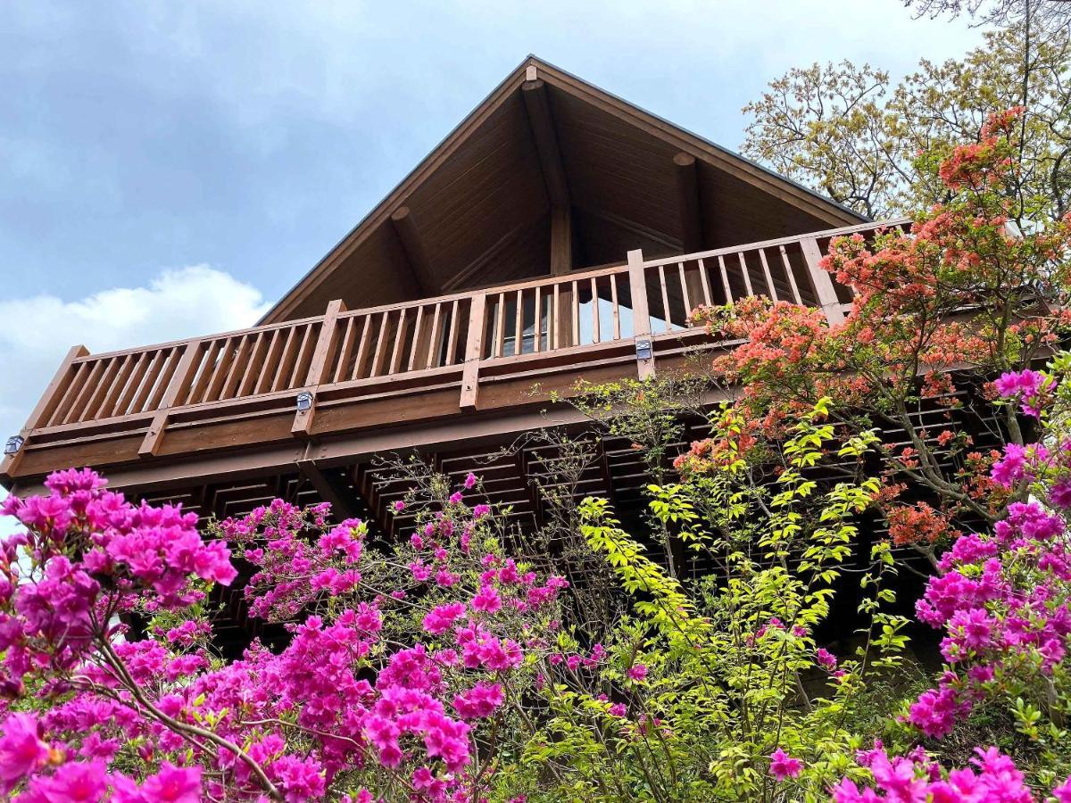 Holiday home A Private Log House With Mt Fuji View & Piano - 