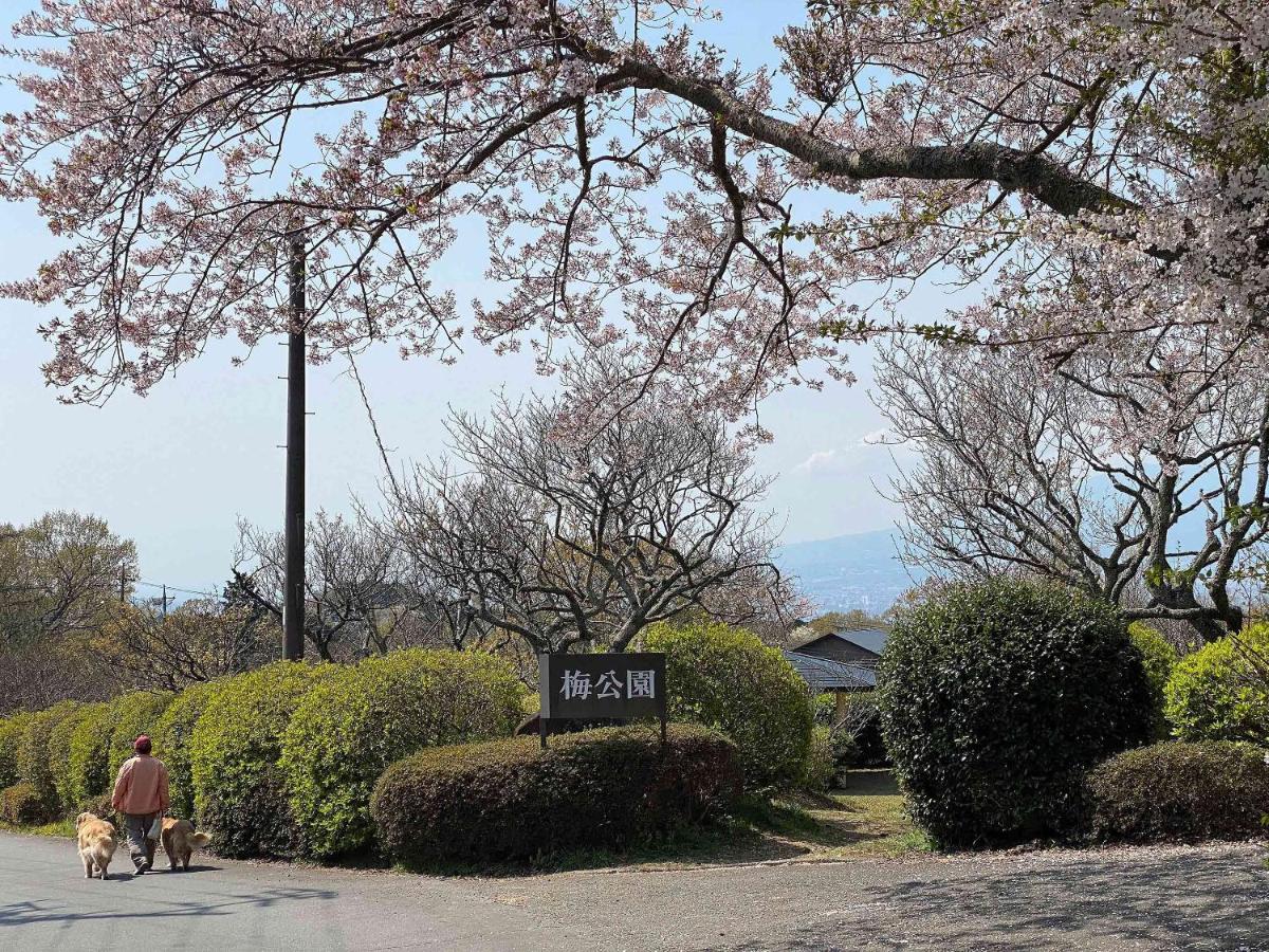 Holiday home A Private Log House With Mt Fuji View & Piano - 